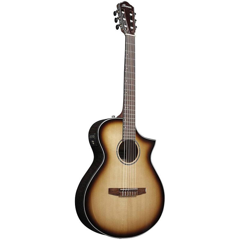 Ibanez AEWC300 NNB