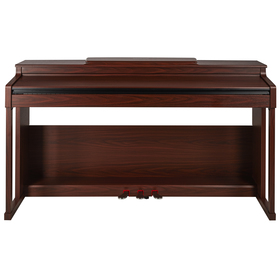 Sencor SDP 300 BR