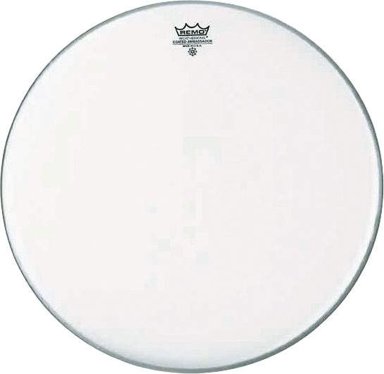 Remo 24" Ambassador Coated