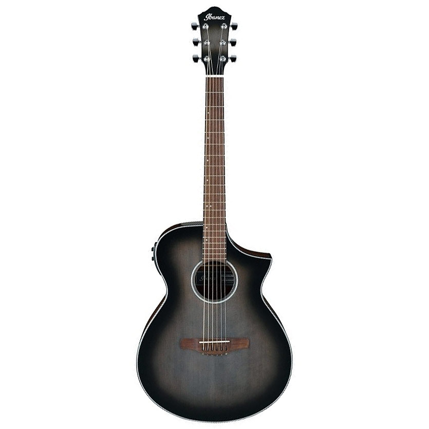 Ibanez AEWC11-TCB
