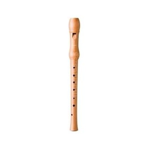 Hohner B9501