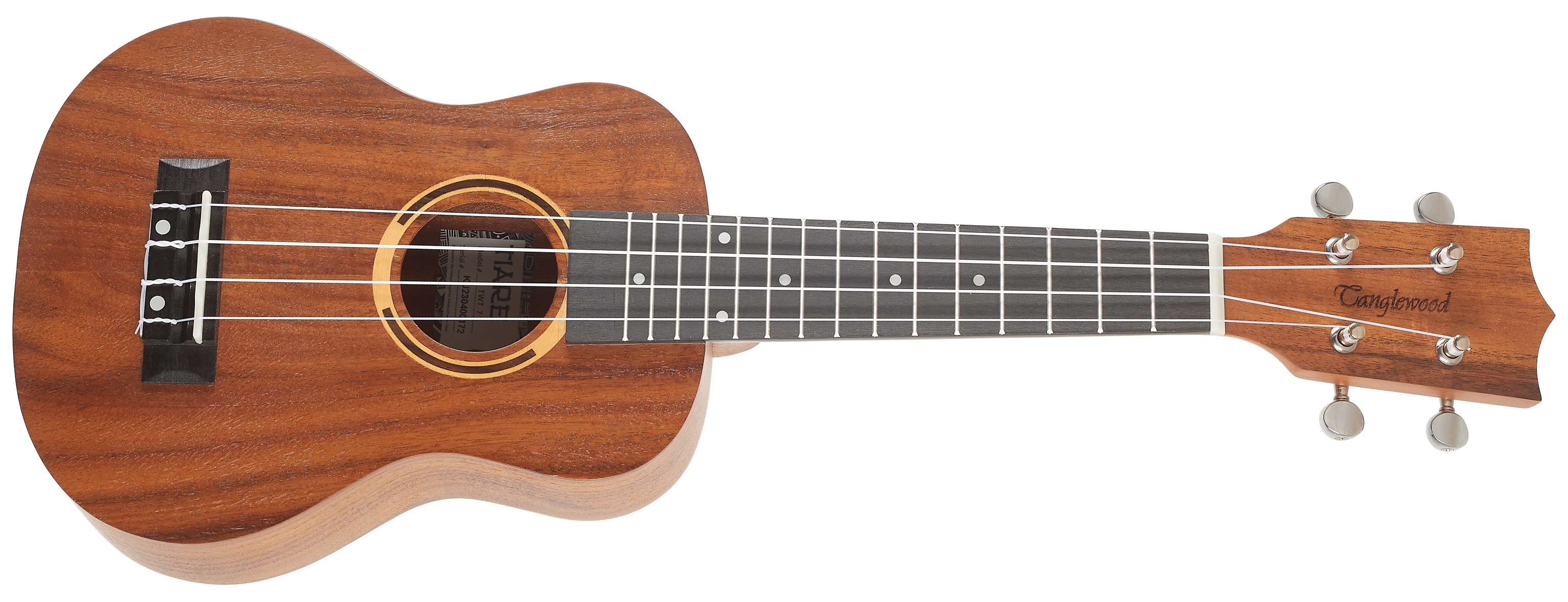 Tanglewood TWT 7