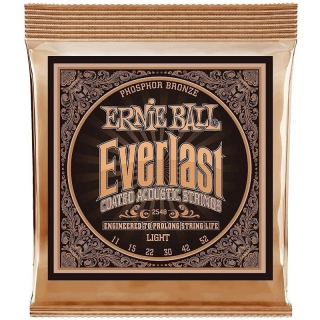 Ernie Ball 2548 Everlast Light